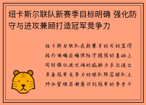 纽卡斯尔联队新赛季目标明确 强化防守与进攻兼顾打造冠军竞争力
