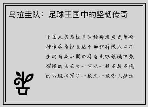 乌拉圭队：足球王国中的坚韧传奇