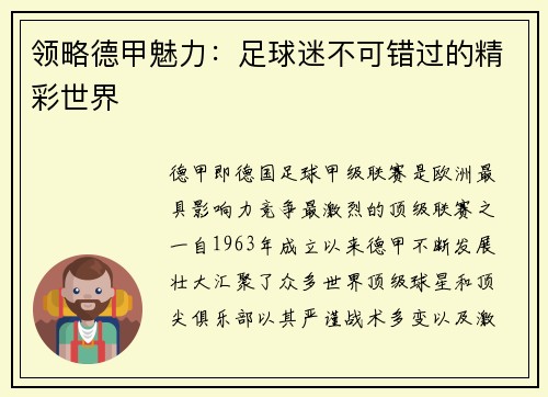 领略德甲魅力：足球迷不可错过的精彩世界