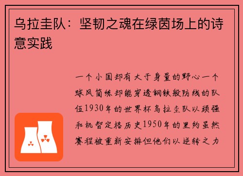 乌拉圭队：坚韧之魂在绿茵场上的诗意实践